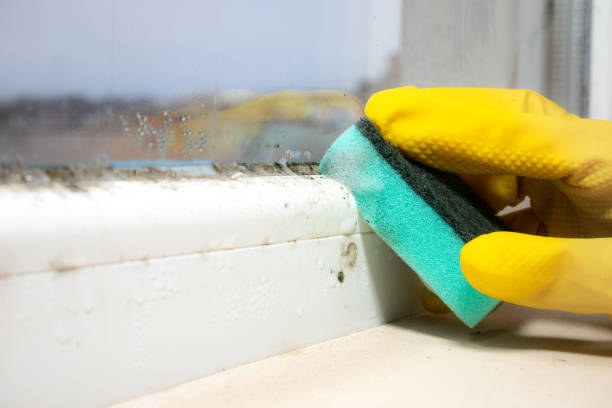 Crawl Space Mold Removal in St Vincent College, PA
