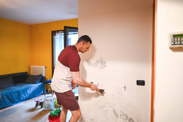 Best Affordable Mold Removal  in St Vincent College, PA