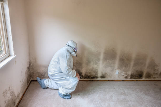 Best Crawl Space Mold Removal  in St Vincent College, PA